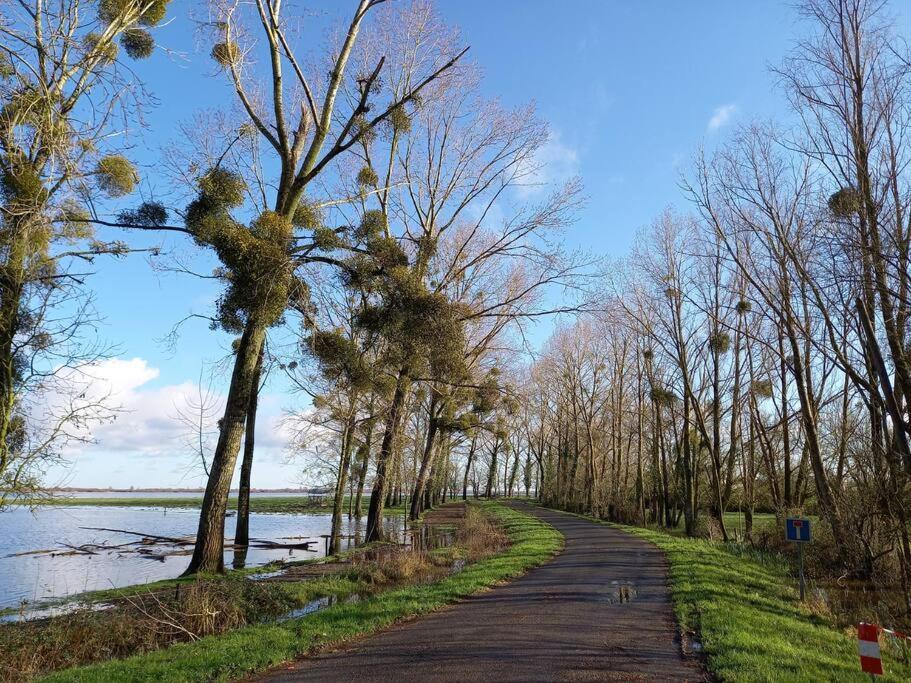 Lac Grand Lieu : Maisonnette Au Calme Avec Jardin Saint-Lumine-de-Coutais Exterior foto
